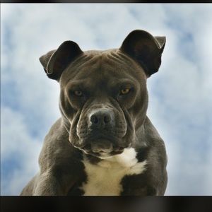 Meet your Posher, Flor